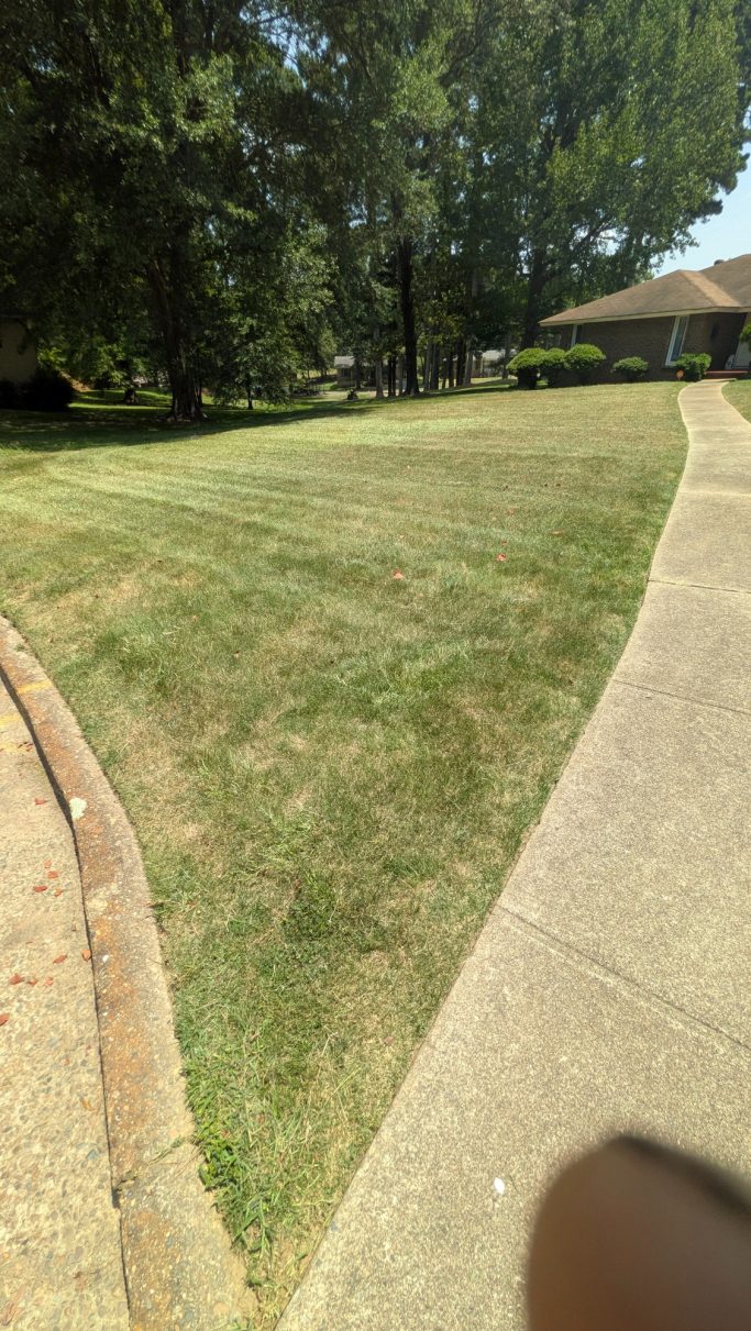 Homecuts Professional Lawn Service LLC Customers front yard