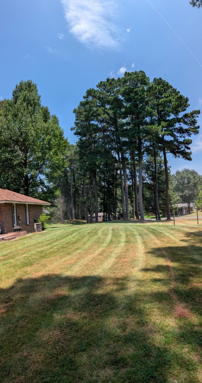 Homecuts Professional Lawn Service LLC Customers back yard