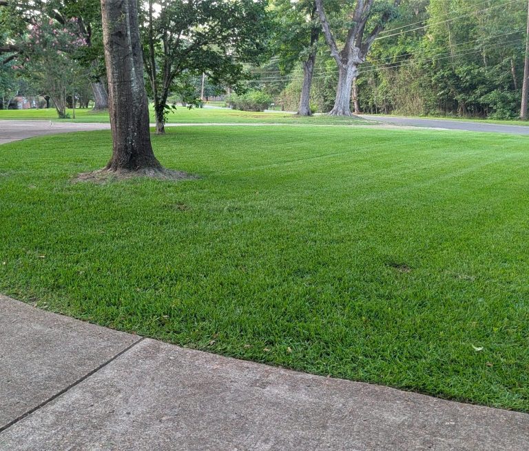 Homecuts Professional Lawn Service LLC Customers long driveway.